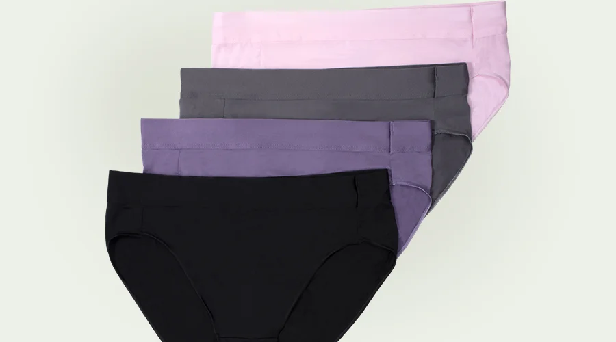 Magasenir Hanes Smooth Microfiber Hi-Cut Brief